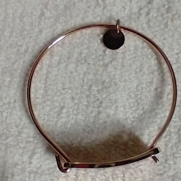 Coppertone science will not be silenced wire bracelet - Picture 6 of 6